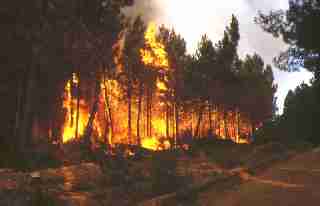 mod_carbono_fuentes_1